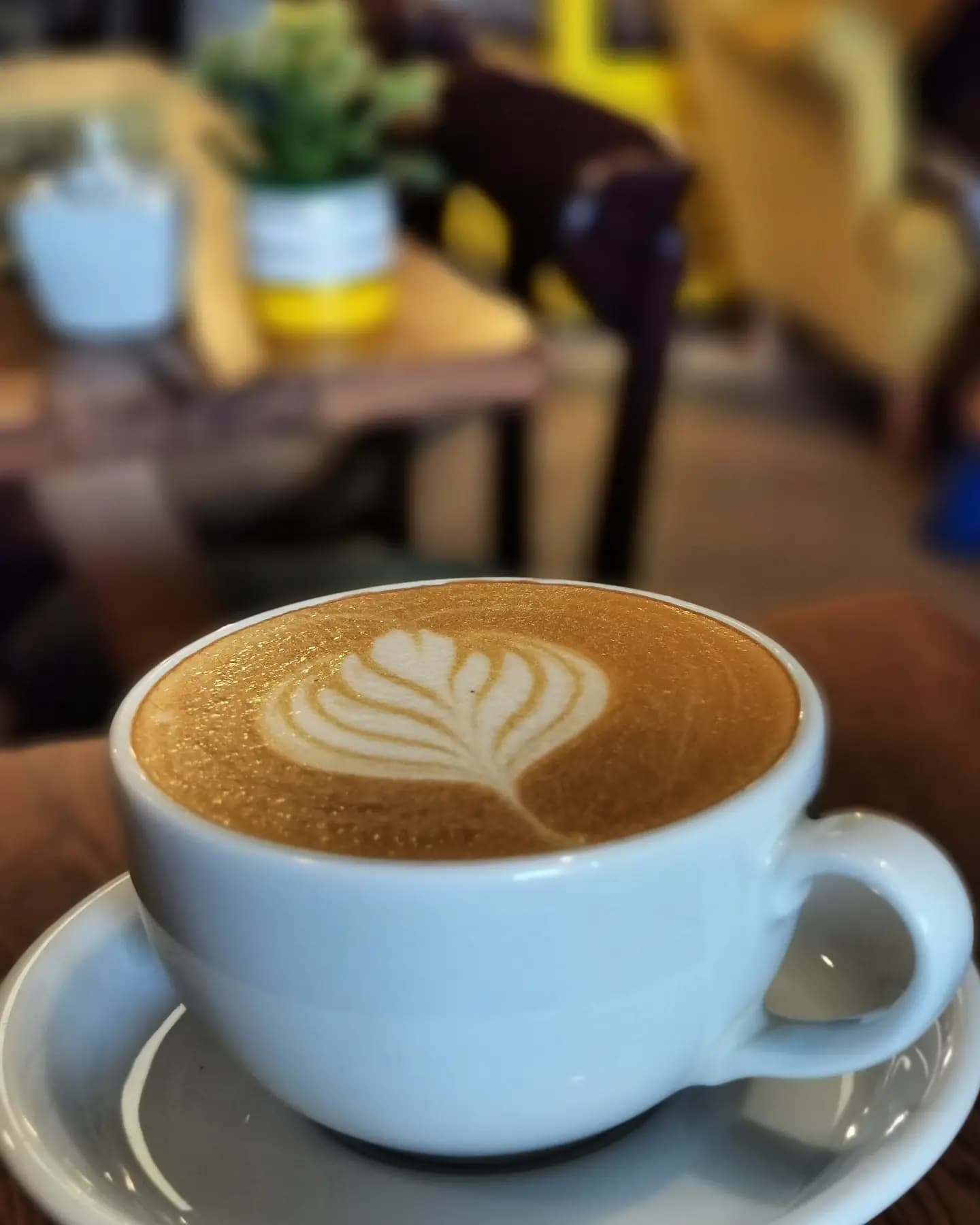 A glass of coffee at Kawa na Ławę in central Zamość