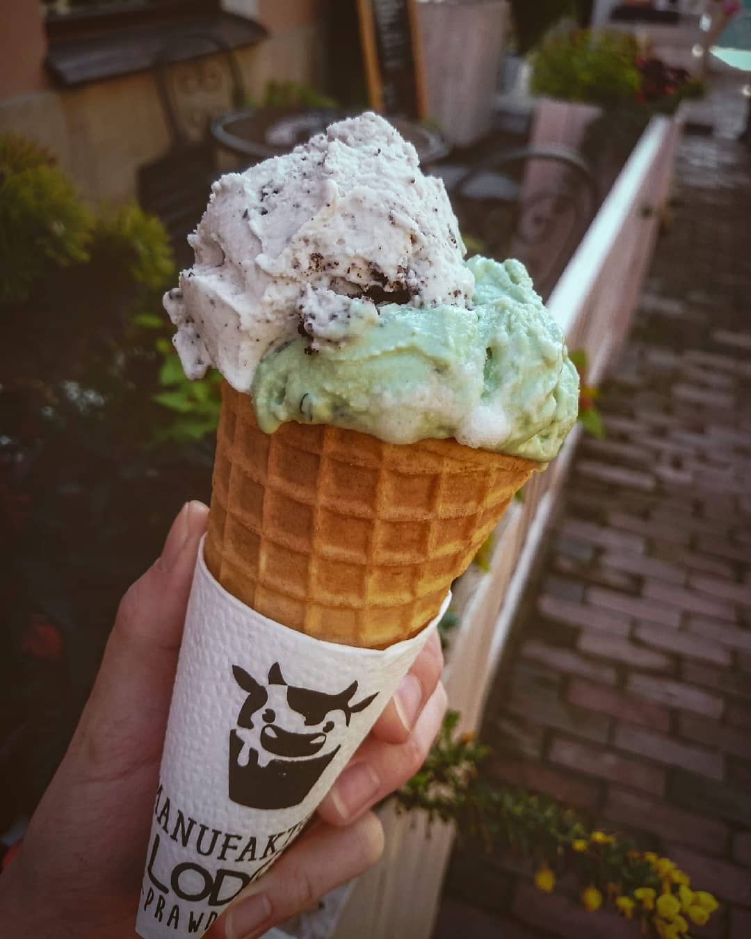 Naturalne lody w centrum Zamościa przy Rynku Wielkim